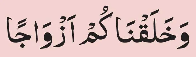 Wa-Khalaqnakum-Azwaja-in-ar Wa Khalaqnakum Azwaja arabic